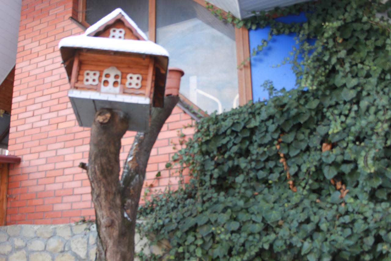 U Romana Country house Yaremche